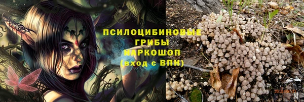 трава Абаза