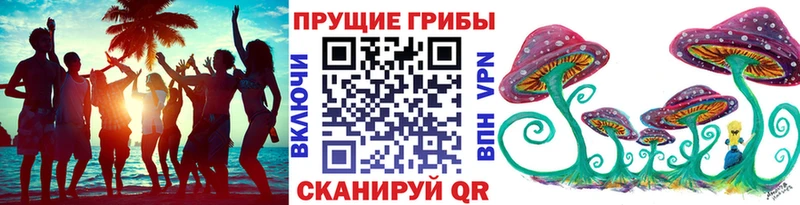 дарк нет какой сайт Щёкино Псилоцибиновые грибы Psilocybe